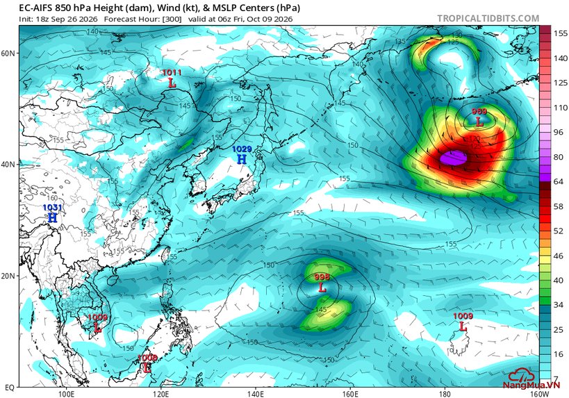 Frame 63