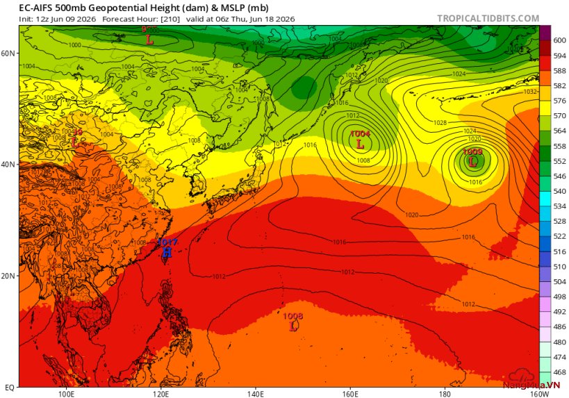 Frame 48